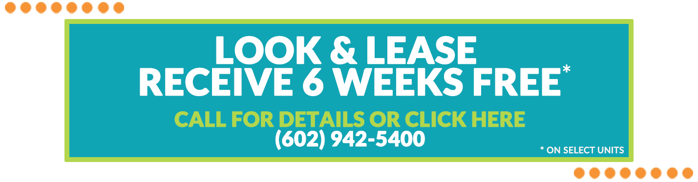 Citra Apartments | Apartments For Rent in Phoenix, AZ | Move-In Special Citra Apartments | Apartments For Rent in Phoenix, AZ | Move-In Special